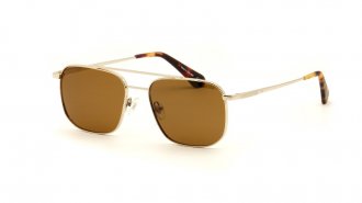 WE 3095 Gold Polarized  Cat 3
